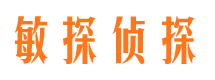 宣恩市调查公司